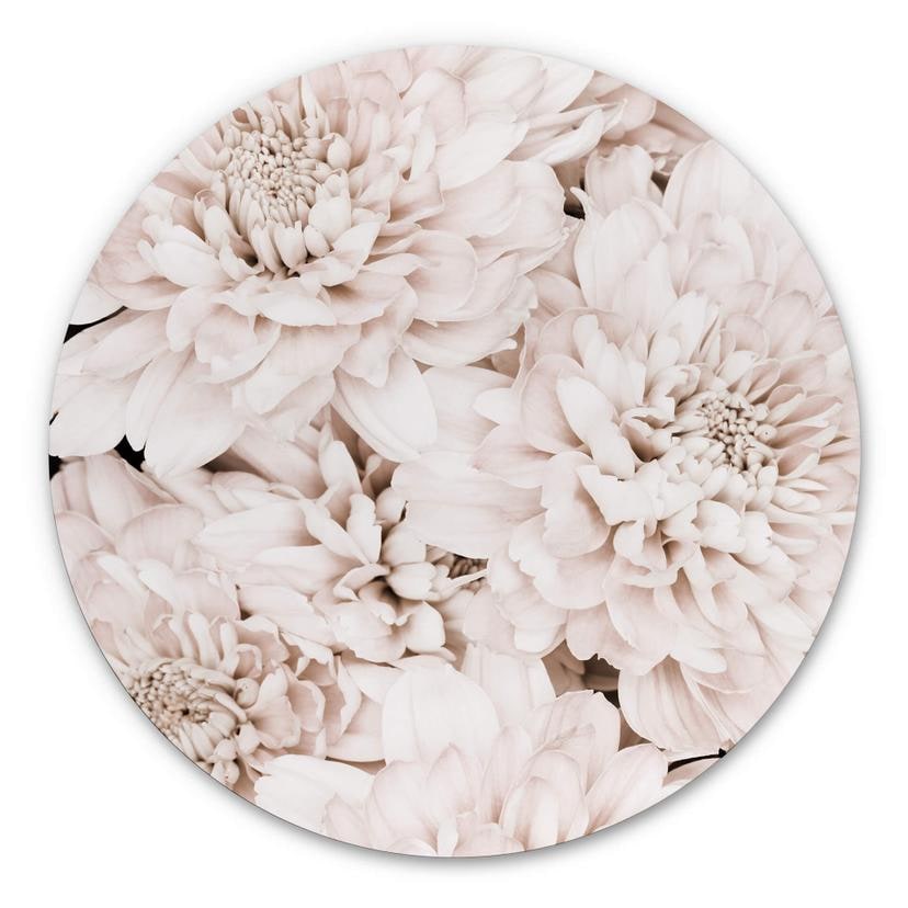 Tableau sur alu-Dibond 1X Studio - Reine marguerite abricot - Rond