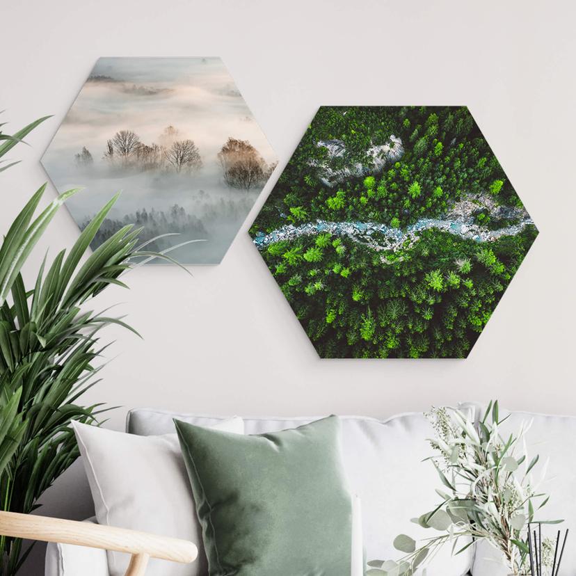 Hexagon Dibond Murko - Mother Nature