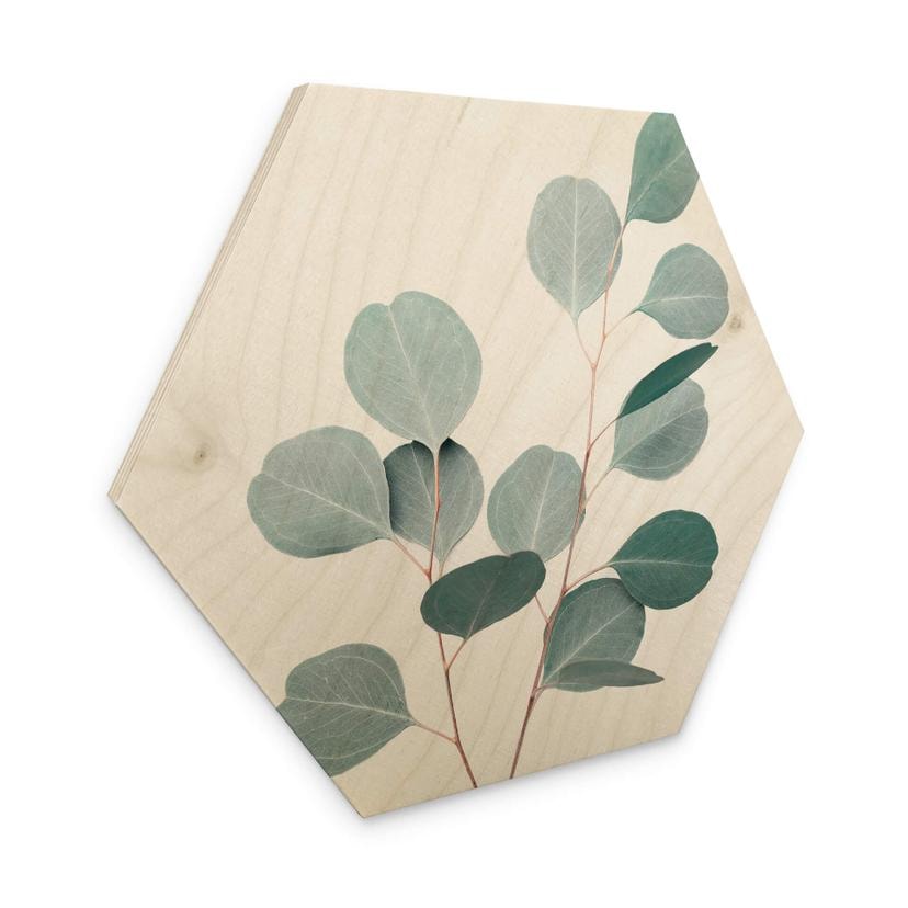 Hexagone - Bois Sisi & Seb - Eucalyptus bleu