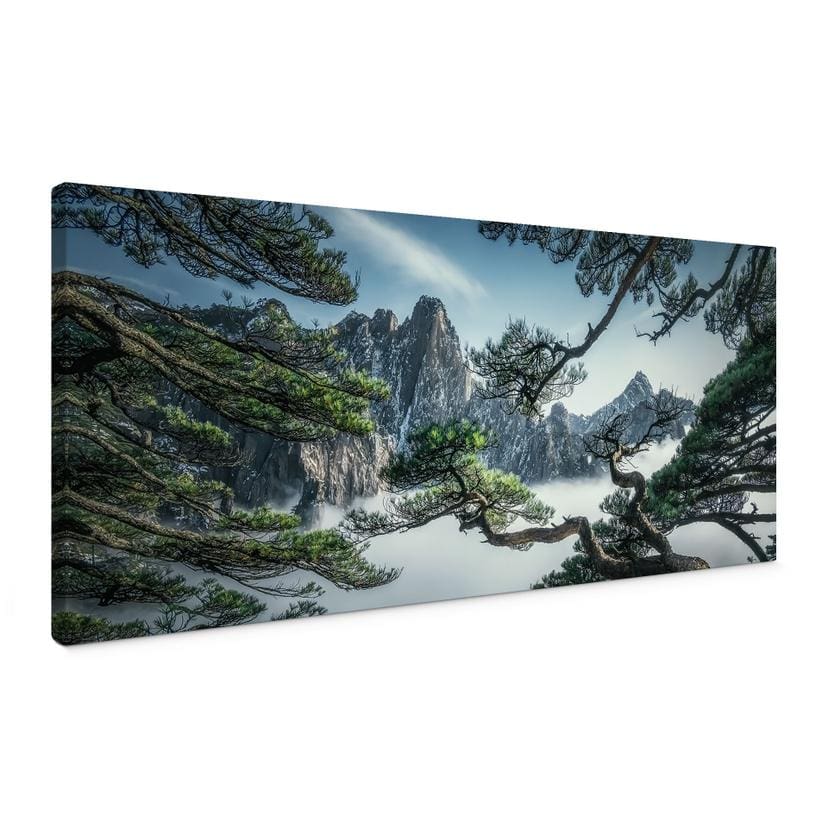 Canvasbillede Fyrreskov i Huang Shan-bjergene - NingYun Ye - Panorama