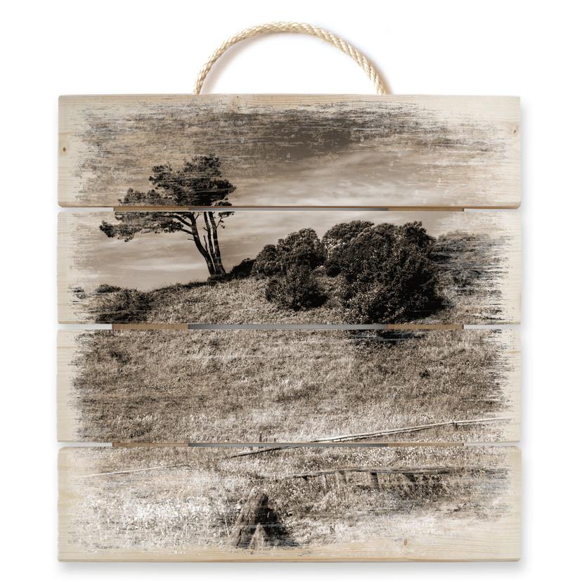 Tableau sur bois - Paysage de la Mer Baltique