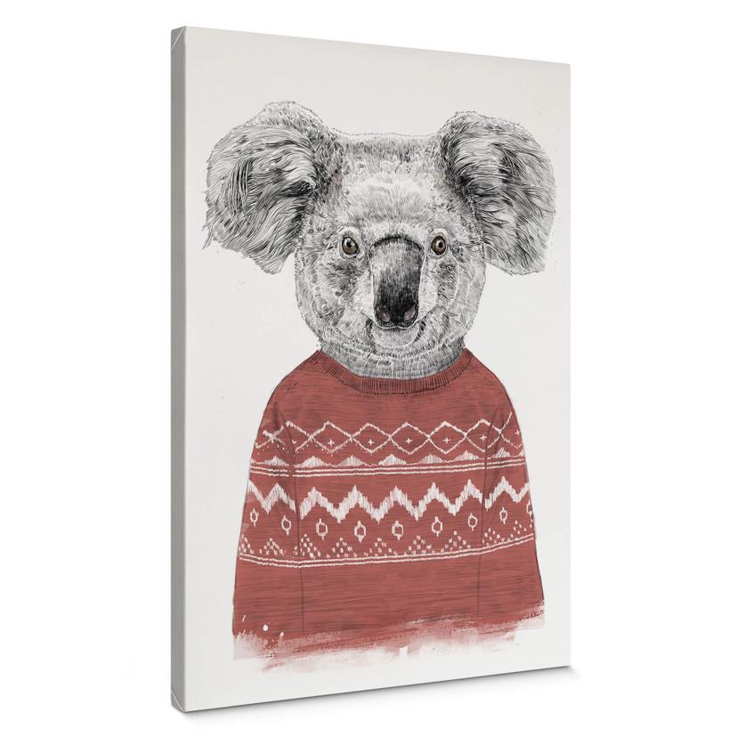 Lienzo Solti - Koala en invierno