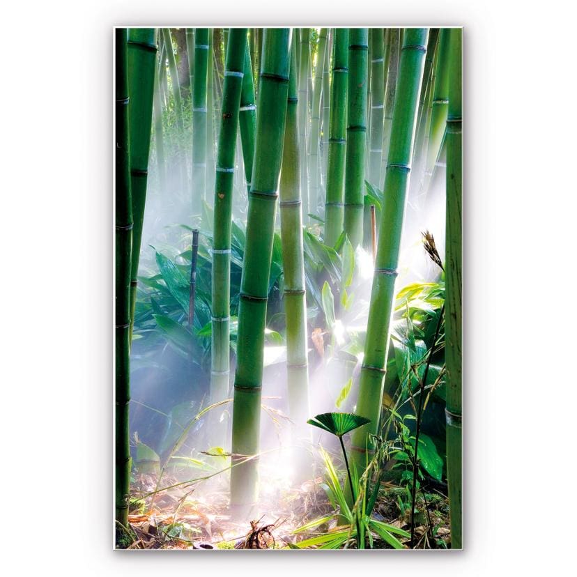 Tableau Forex - Bamboo Forest