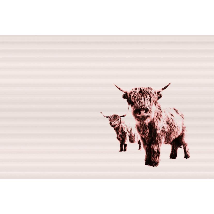 Livingwalls papier peint photo ARTist Highland Cows