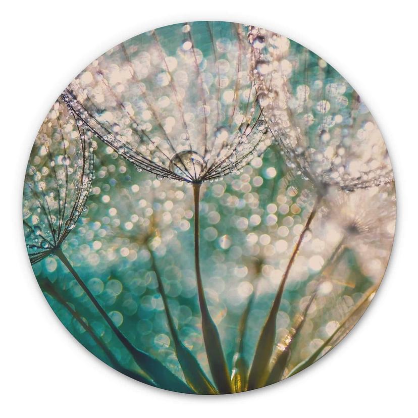 Tableau sur alu-Dibond Delgado - Pissenlit scintillant - Rond