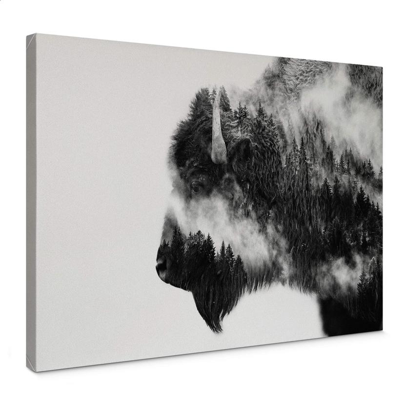 Tableau sur toile Angyalosi - Bison