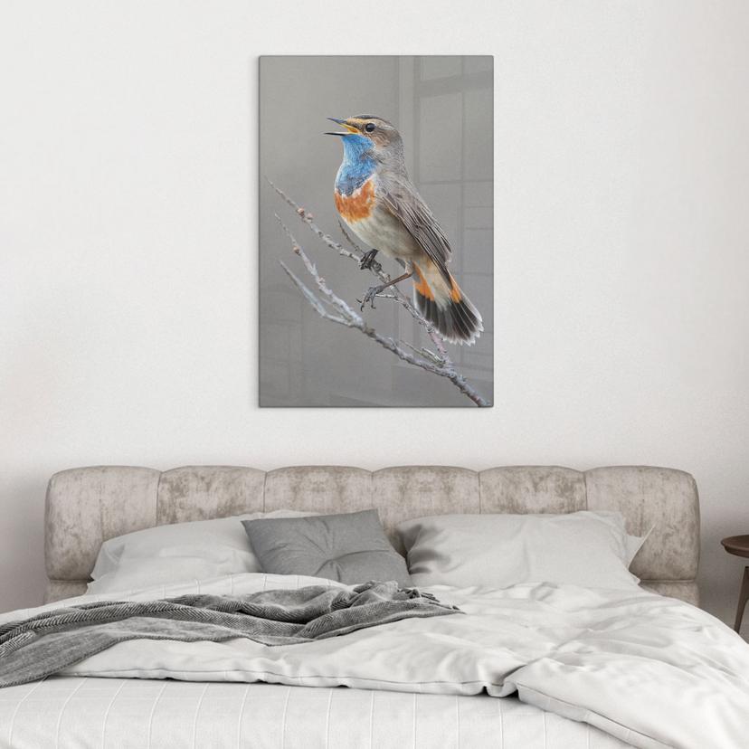 Glasschilderijen zingende blauwborst - van Duijn