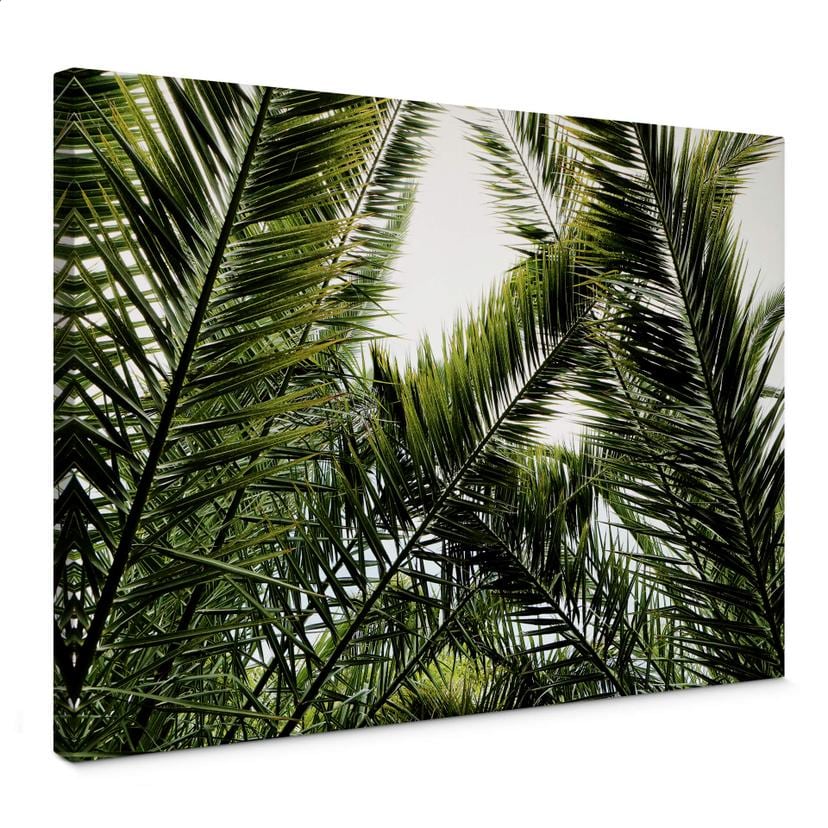 Tableau sur toile Palmiers