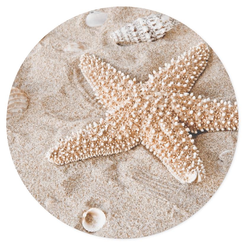 Vinilo decorativo Estrella de mar en playa dorada - Redondo