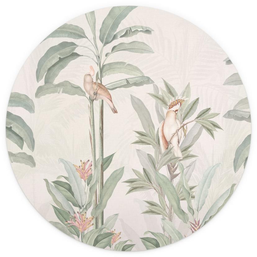 Tropisk skog med kakaduor Fototapet - Bloomery Decor - Rund - Självhäftande / icke-vävd