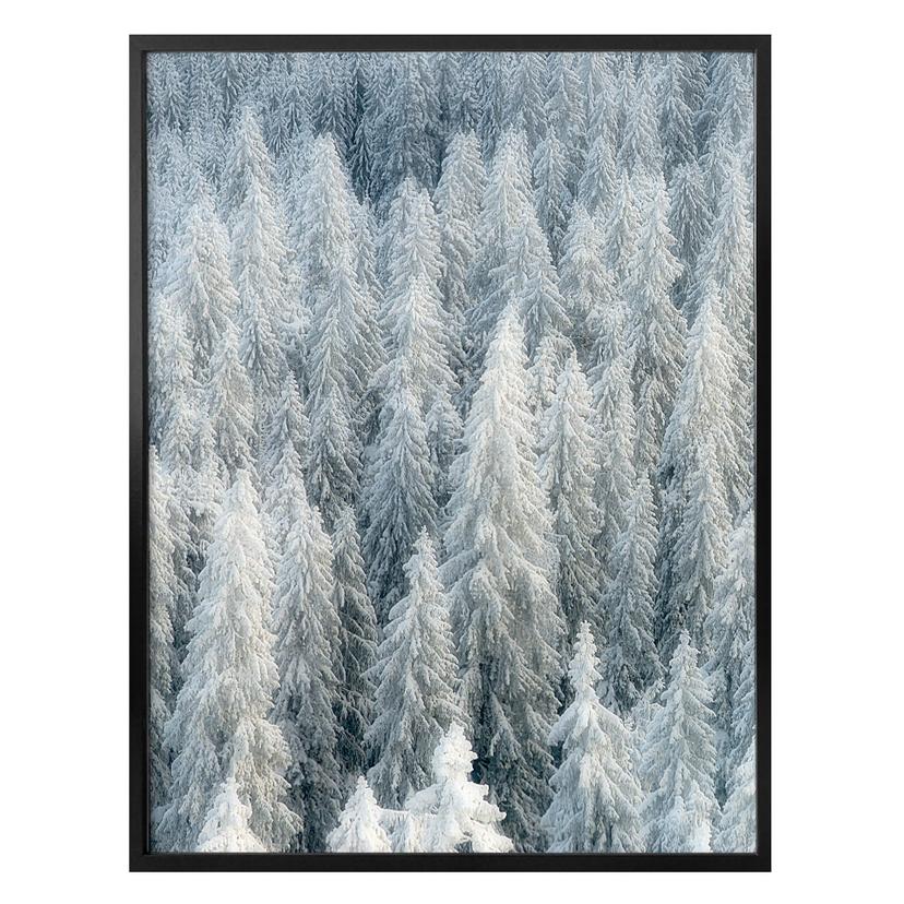 Plakat - Kalliolahti - Hvid vinter - højkant