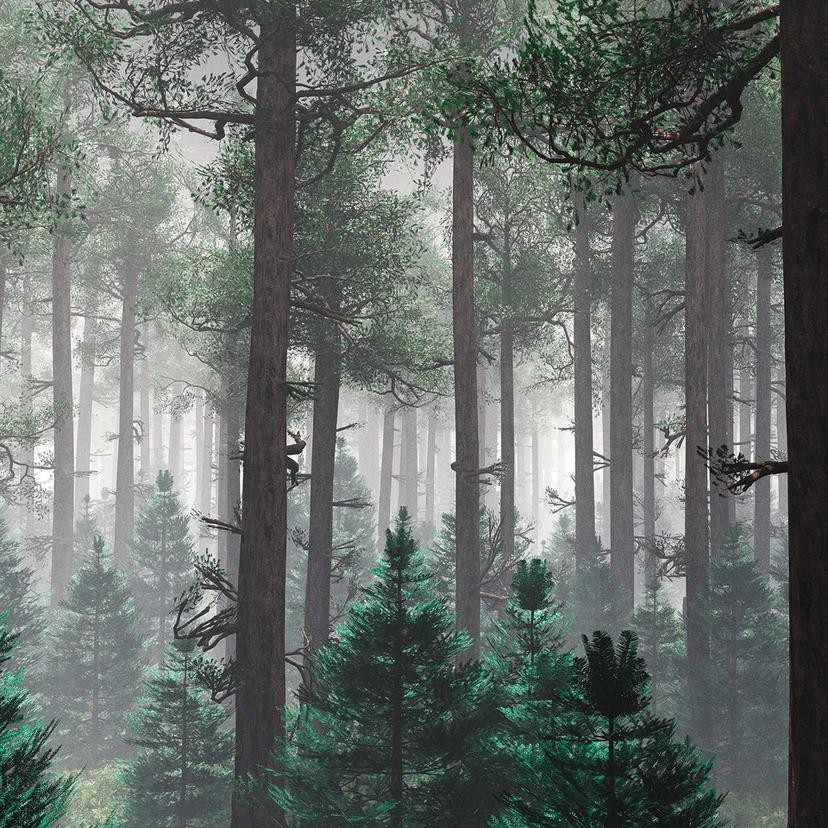 Trees In Fog foresta - Carta da parati in grigio-verde - Tessuto non tessuto Designwalls 2 - 2,55 x