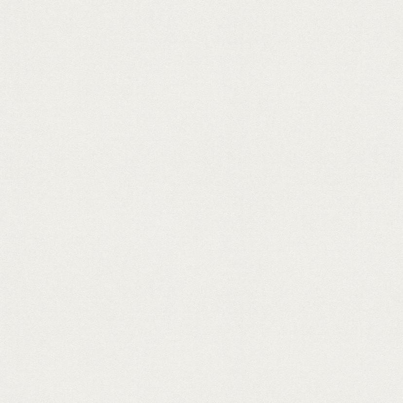 Papier peint intissé couvrant A.S. Création Meistervlies Pro Protect 2 blanc