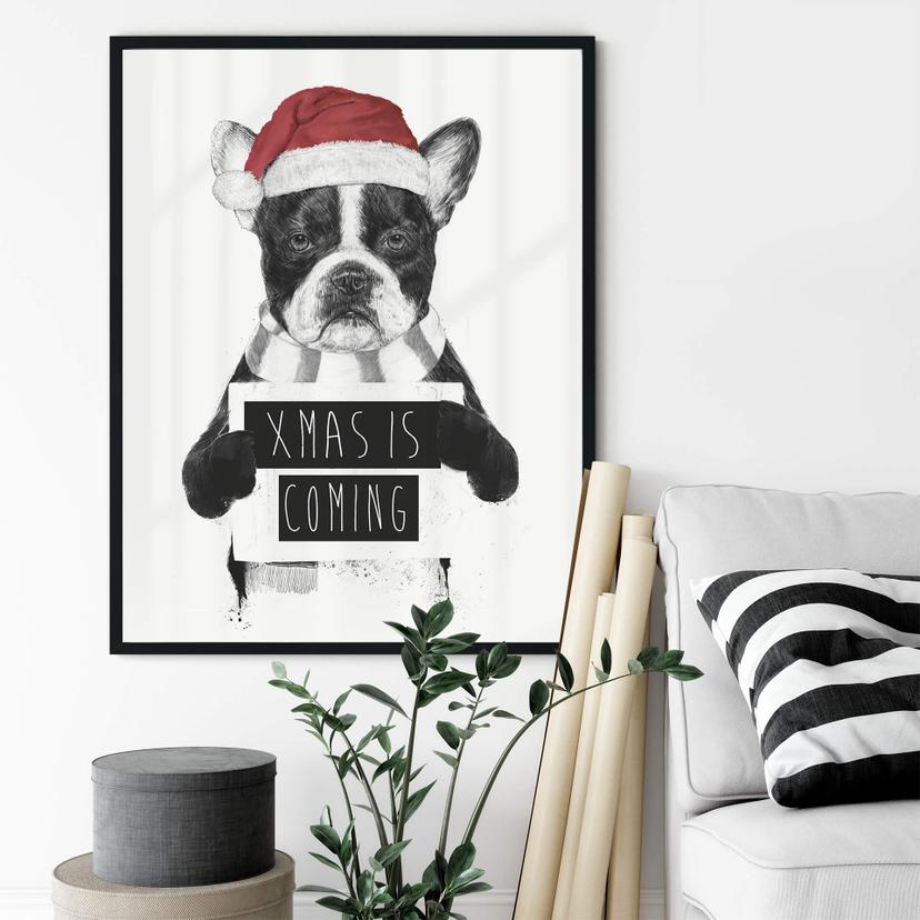 Poster Solti - Xmas is coming