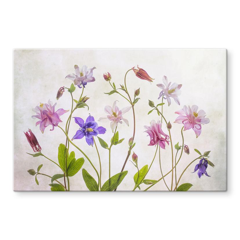 Pannello paraschizzi Disher - Bouquet