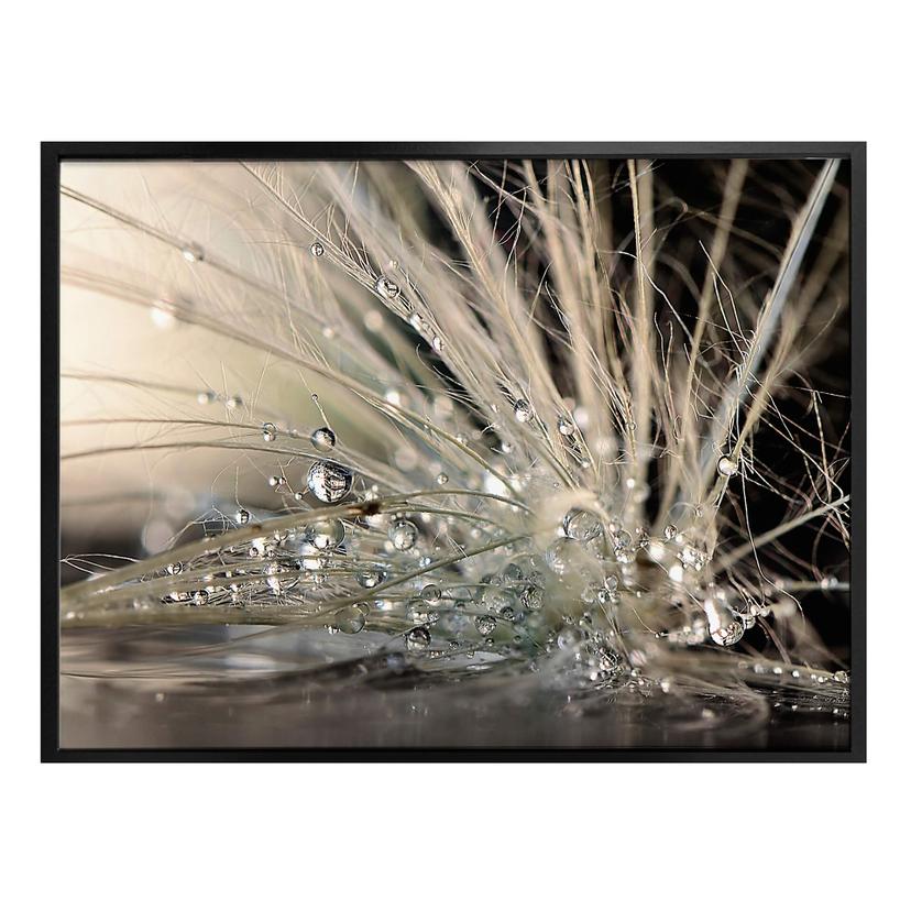 Poster Zahirimehr - Histoire d’une goutte d’eau