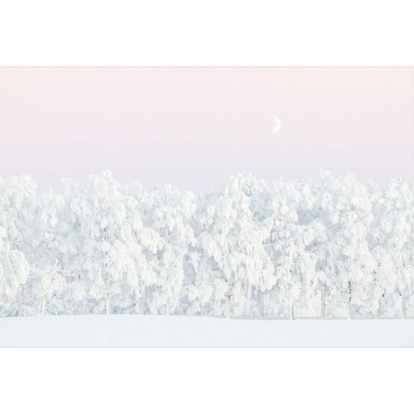 Fotomurale paesaggio invernale - foresta invernale innevata con luna - EMELIEmaria