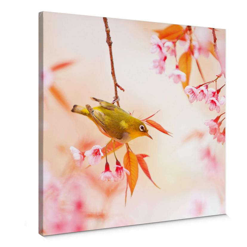 Lienzo Birdsong in the cherry blossom - cuadrado