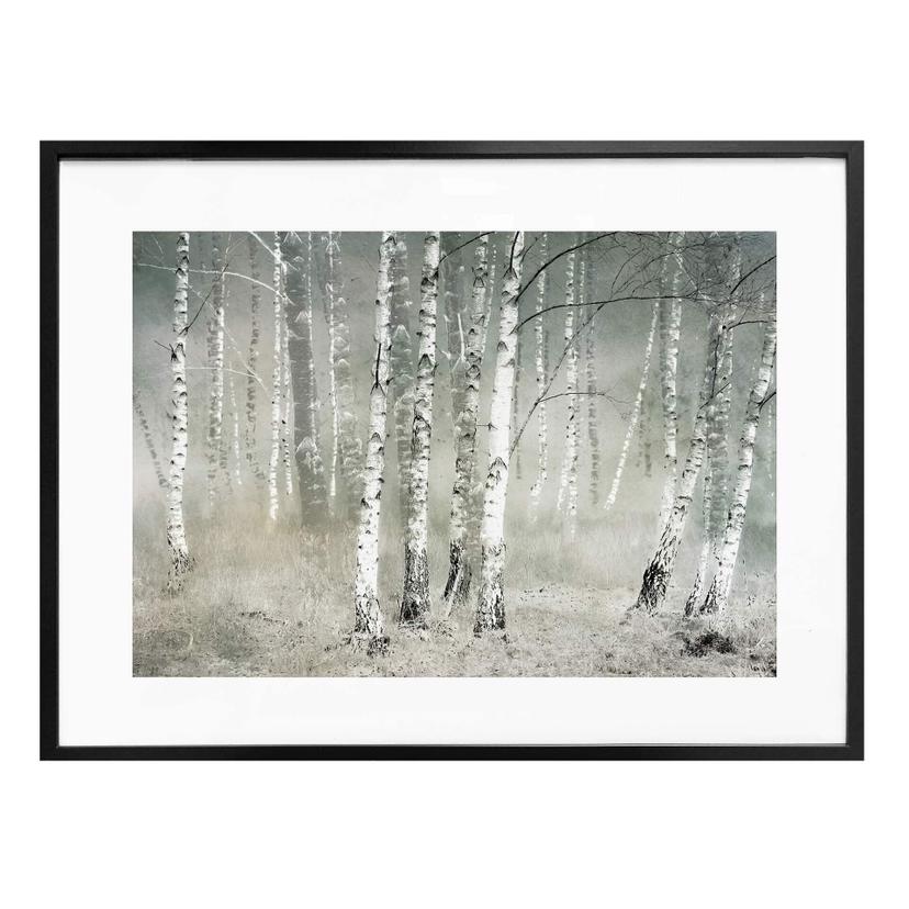 Póster Talen - Calma matinal