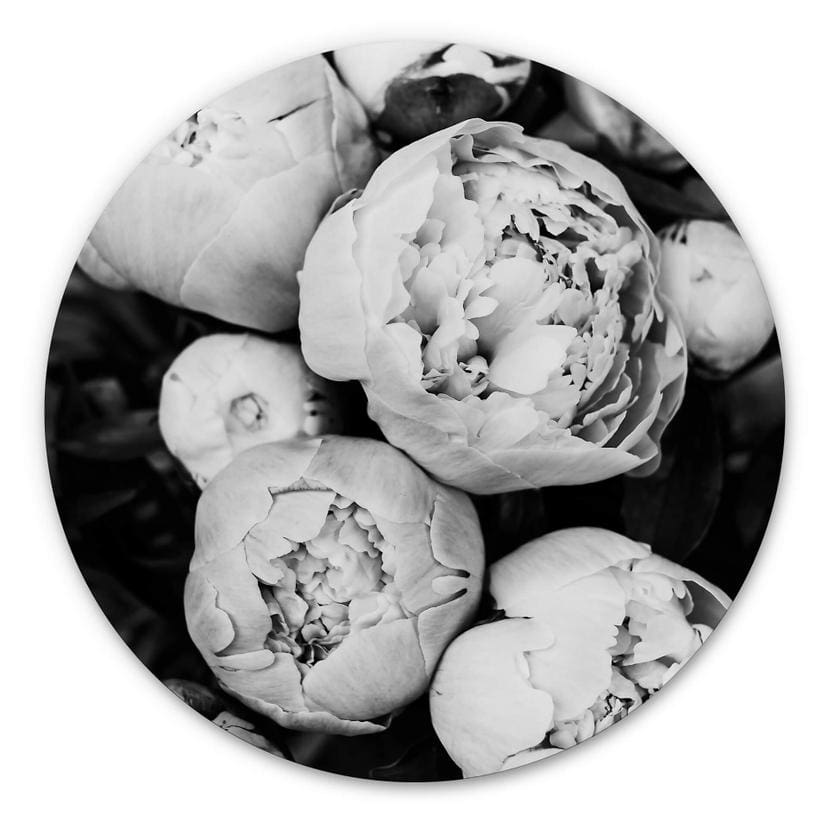 Tableau sur alu-Dibond rond Sisi & Seb - Pivoines