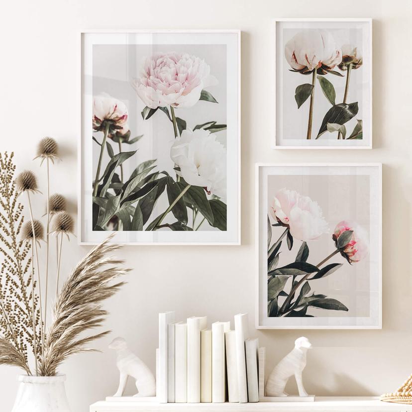 Poster 1X Studio - Magnifika pioner