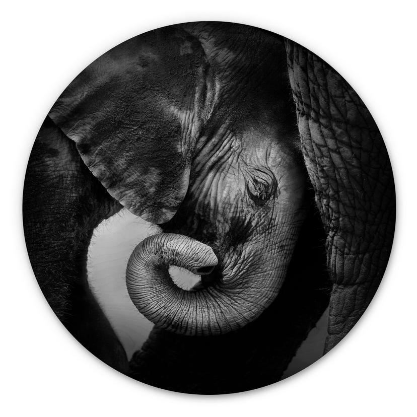 Tableau sur bois - Le bébé éléphant - Rond