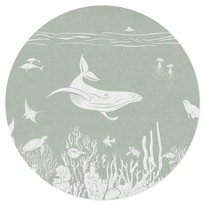 Muursticker Koraalrif en zeedieren - Een reis in het groen - Kikki Belle - Rond