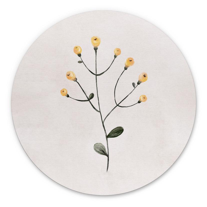 Billede Delikat plante med gule blomster - Goed Blauw - rund – print på aluminium (Alu-Dibond)