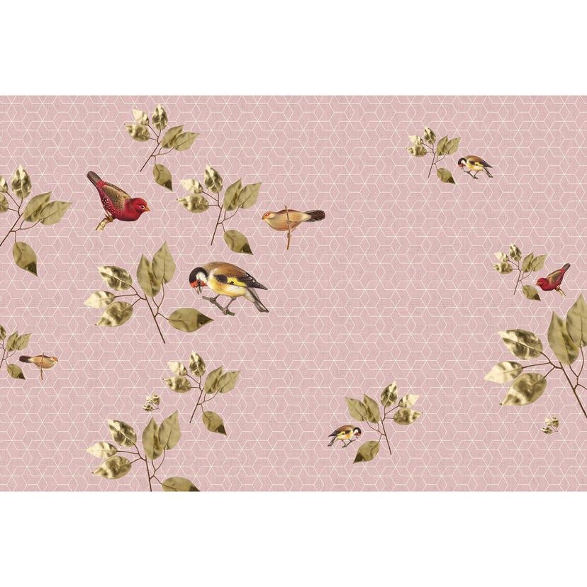 Livingwalls Fotomurale Walls by Patel 2 brilliant birds 1