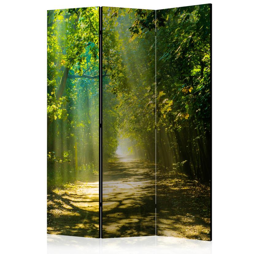 Paravent Séparation de pièce - Rue dans la lumière du soleil, 3 pièces