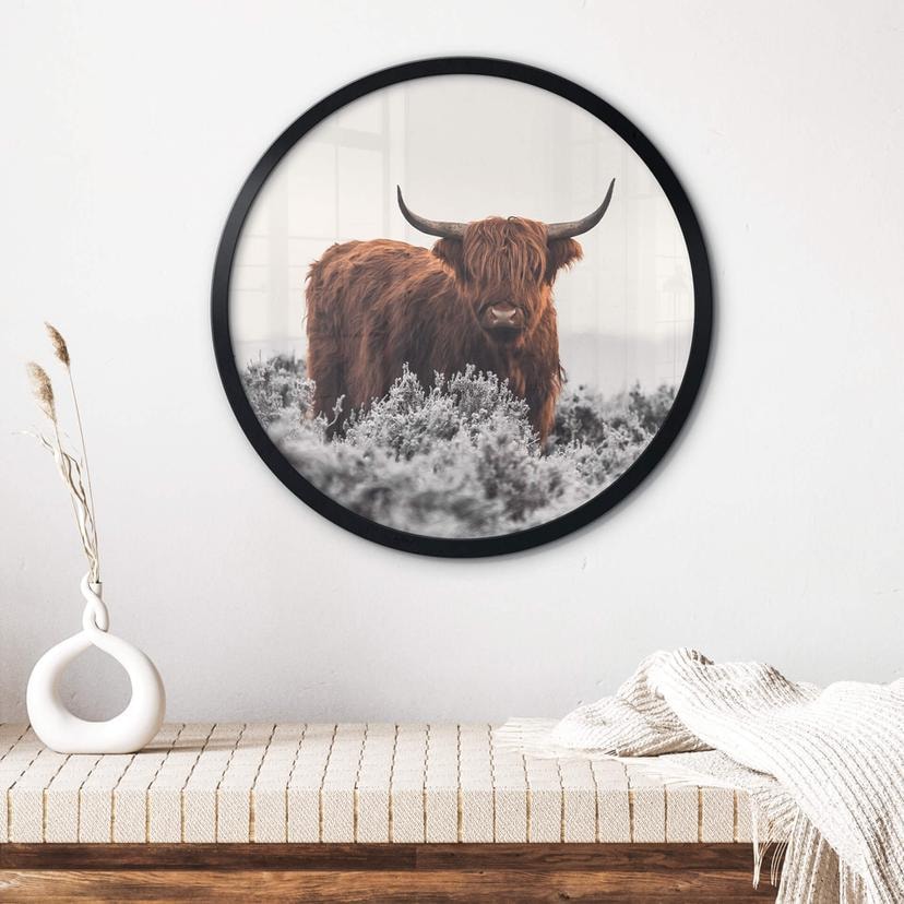 Poster van den Helm - Highlander