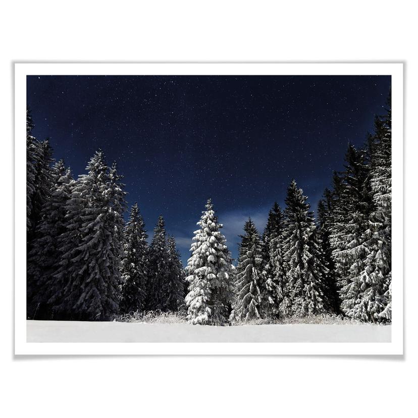 Poster - Vinterskog
