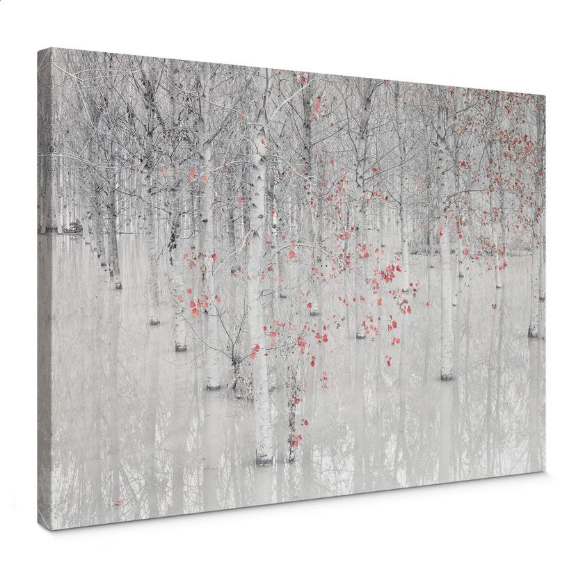 Lienzo Carozzi - Bosque de abedules blancos con hojas rojas
