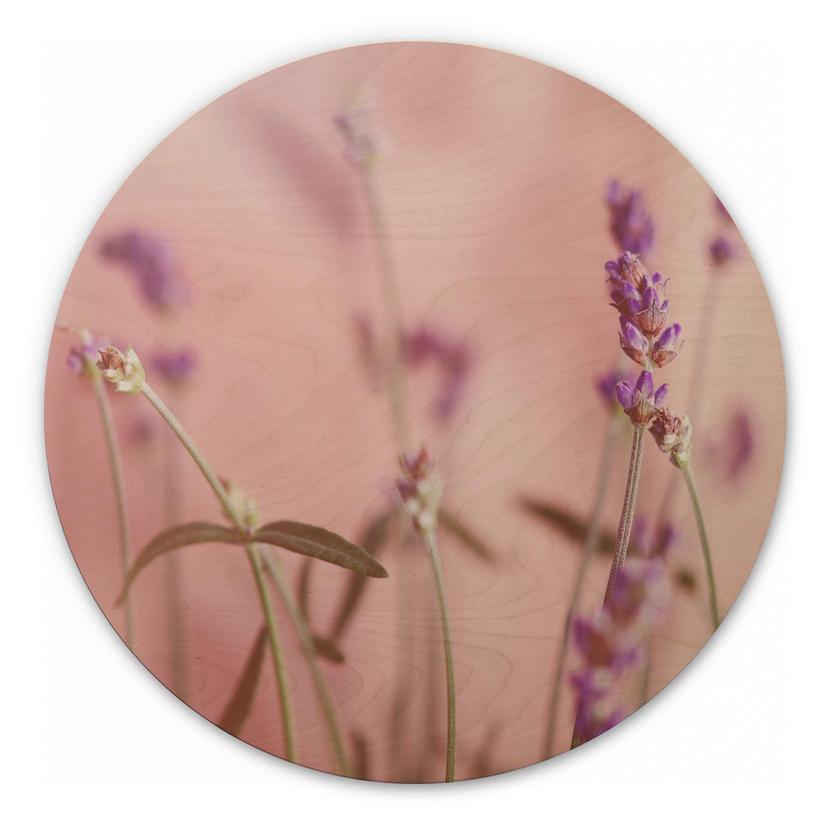 Billede af træ delikat lavendel - rund