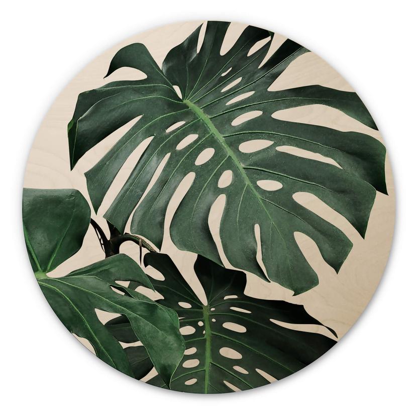 Billede af træ Sisi & Seb - Monstera - Rund