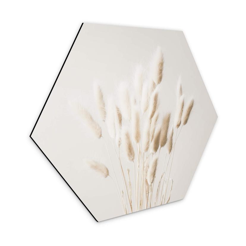 Hexagone - Alu-Dibond 1X Studio - Herbes séchées