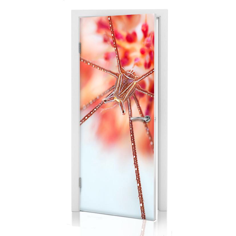 Diseño de puerta Narchuk - exotismo submarino 91x200 cm