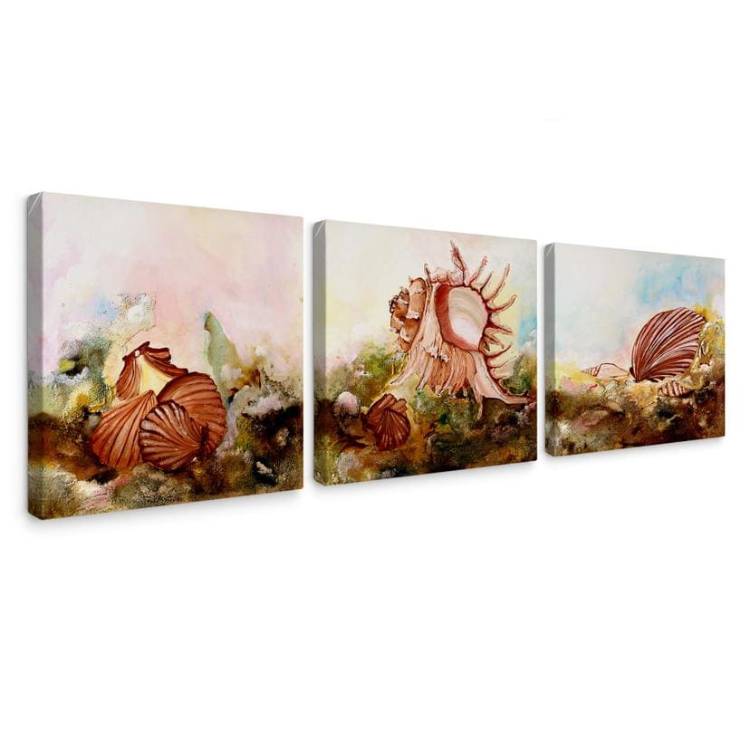 Tableau sur toile Fedrau - Coquillages 02 (3 parties)