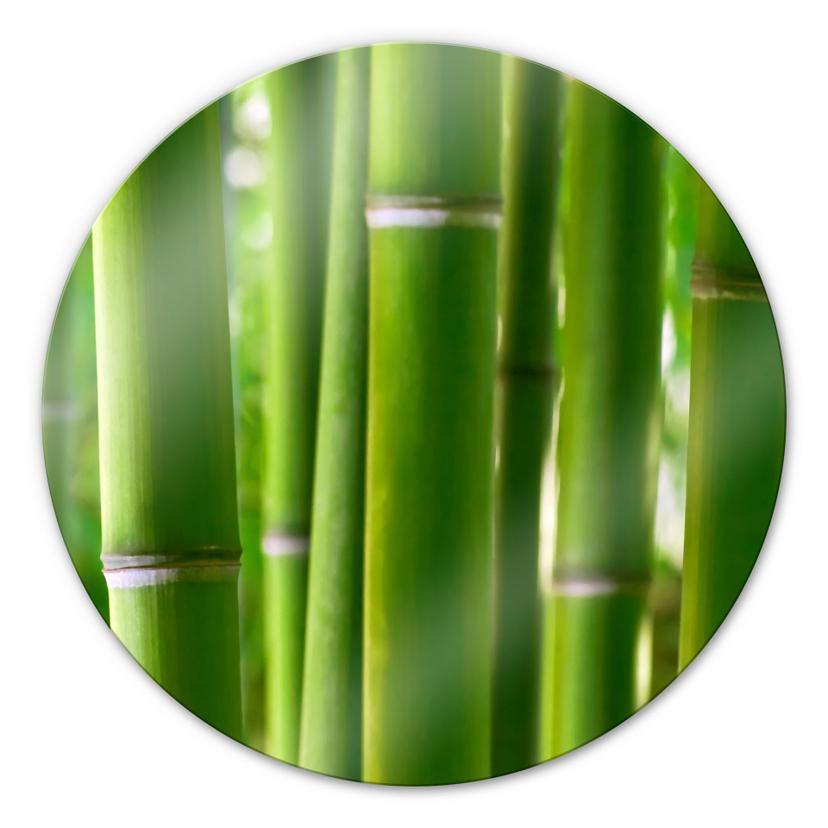Tableau en verre - Forêt de bambous - Rond