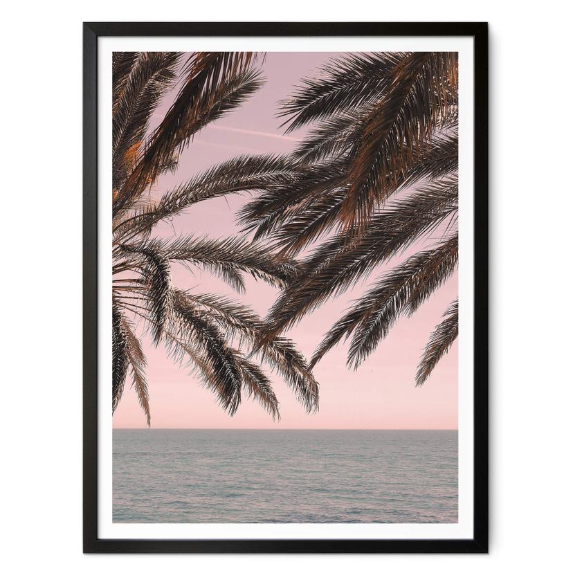 Póster 1X Estudio - Palmeras