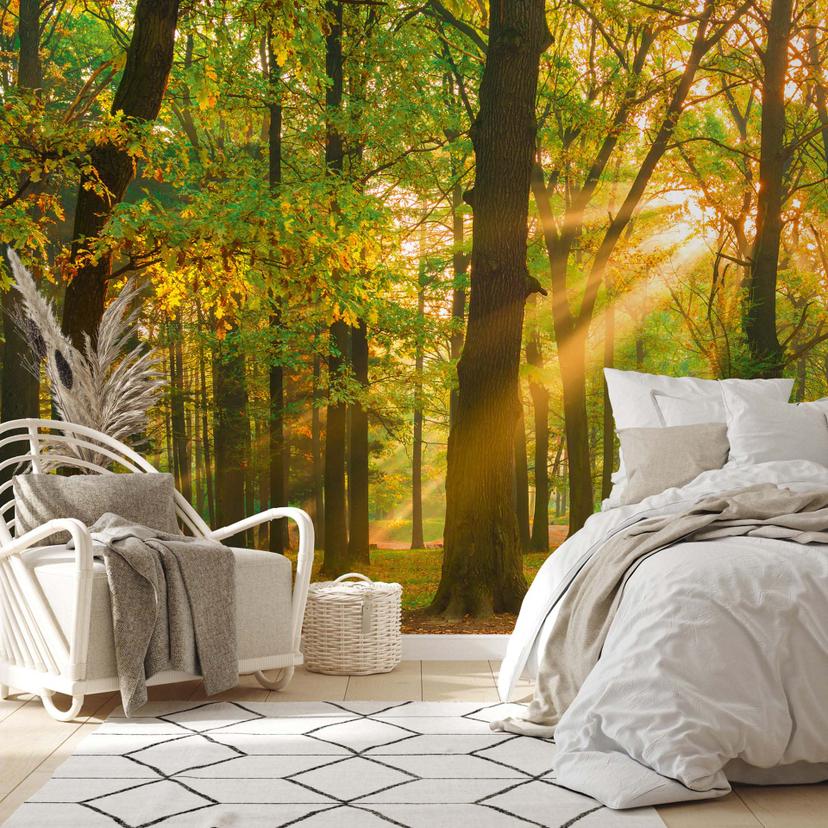 Papier peint forêt avec rayons de soleil vert marron - Papier peint intissé 3,75 m x 2,50 m motif naturel