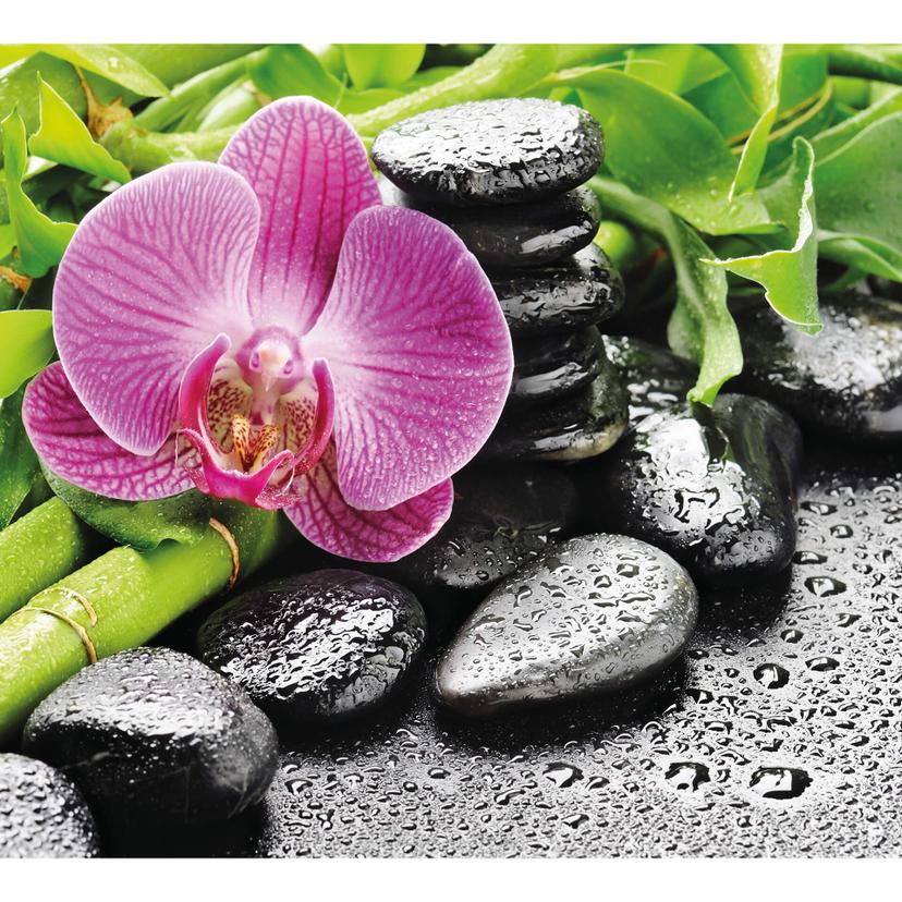 Fotomurale – Spa Concept