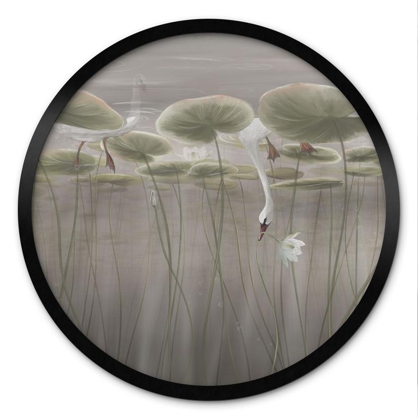 Poster Lotusbloemen met zwaan in water in grijs - Ms Tiff - Rond