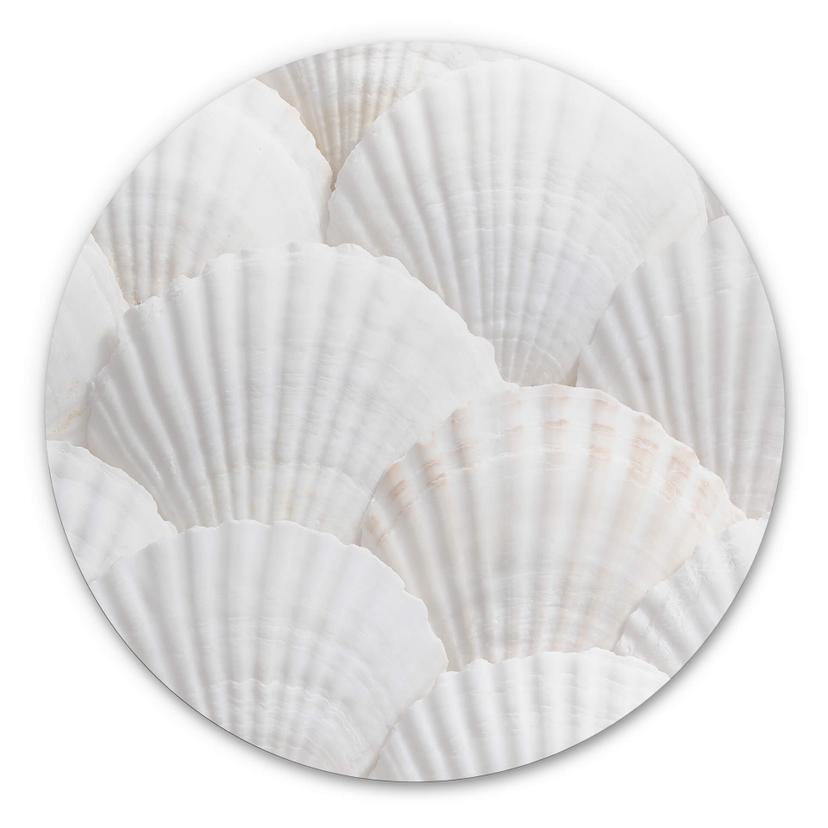 Tableau sur alu-Dibond rond 1X Studio - Coquillages