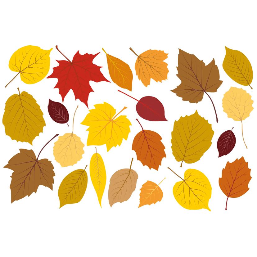 Sticker mural - Set feuilles automne 1