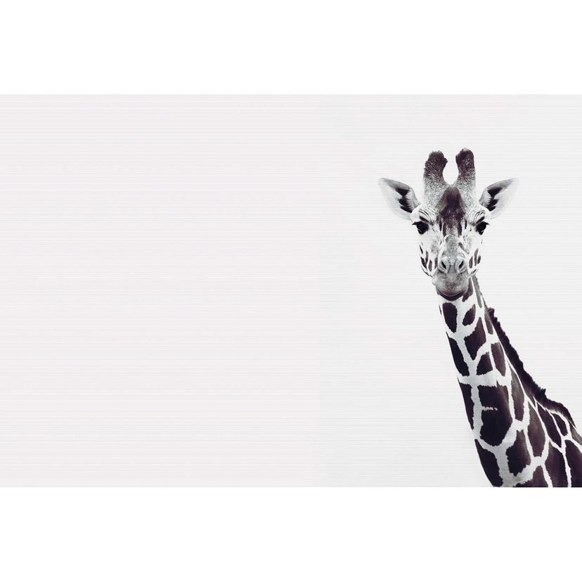 Livingwalls papier peint photo ARTist Portrait d'une girafe