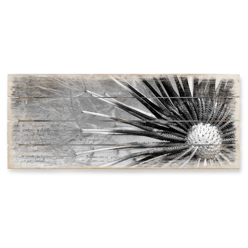 Stampa su legno -Un poetico soffione - panoramica