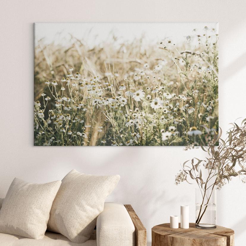 Canvas schilderij zomerweide met kamille - Annie