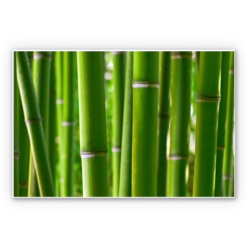 Tableau Forex - Forêt de bambous