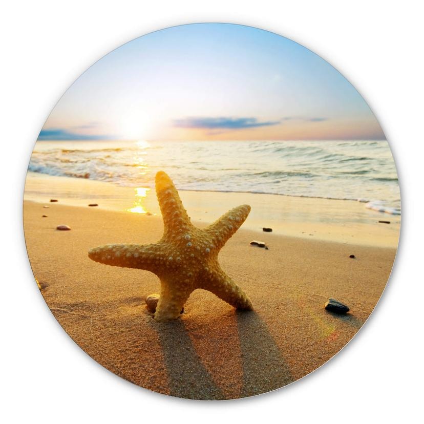 Tableau en Alu-Dibond Etoile de mer dans le sable - Rond